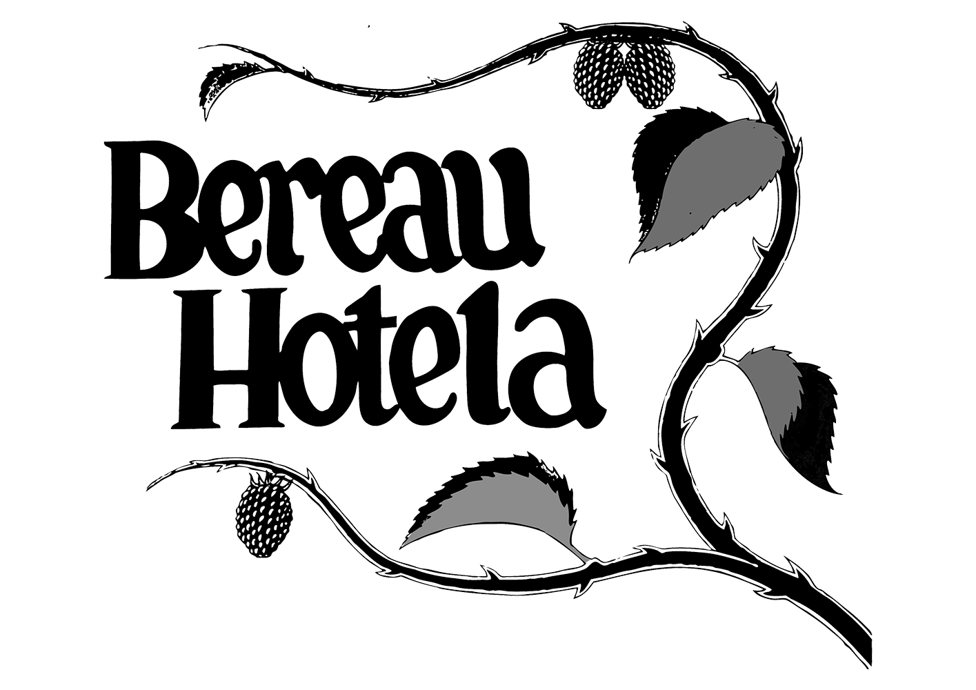 Hotel Rural Bereau
